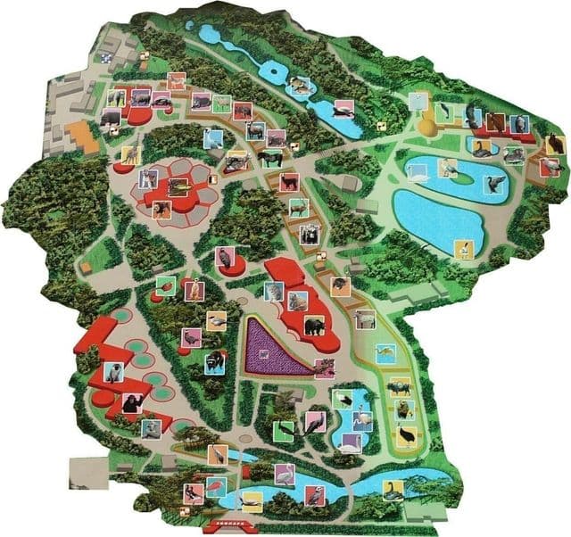 Mapa do Parque Zoológico de Kiev